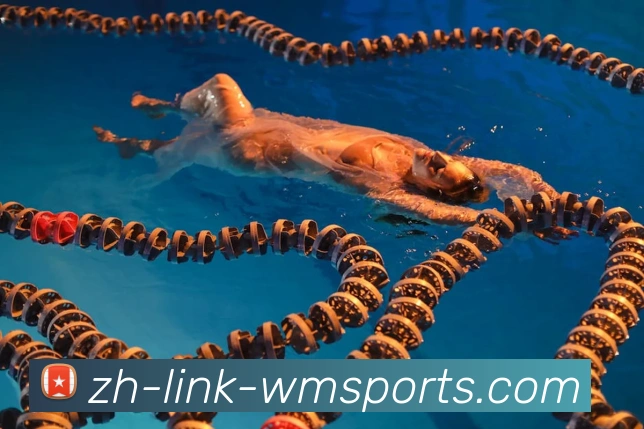 完美体育官网发展历程